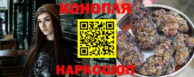 сатива Комсомольск-на-Амуре