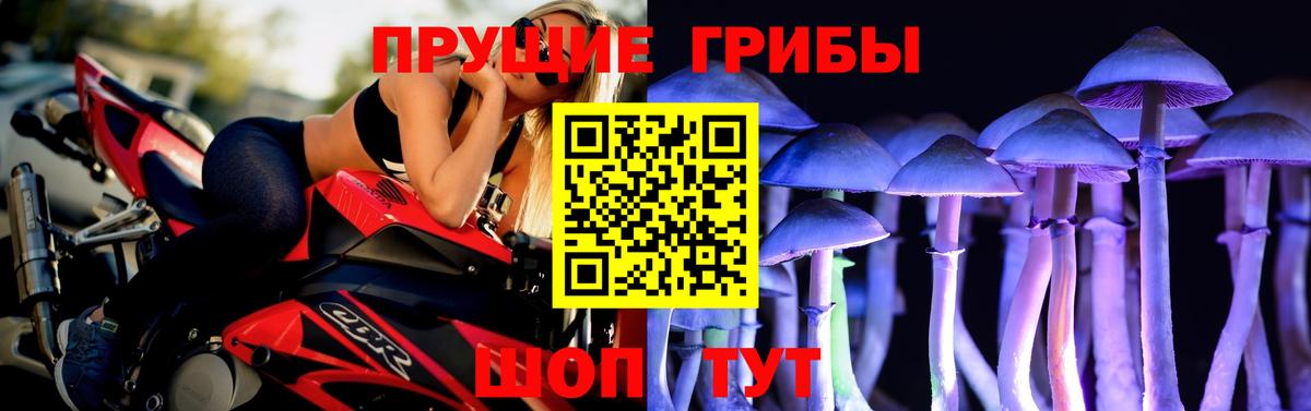 Псилоцибиновые грибы мицелий  Вход с VPN  Кириши 
